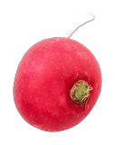 vegetable background