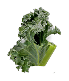 vegetable background