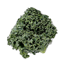 vegetable background