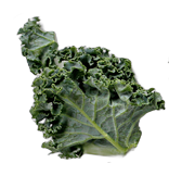 vegetable background