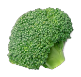 vegetable background