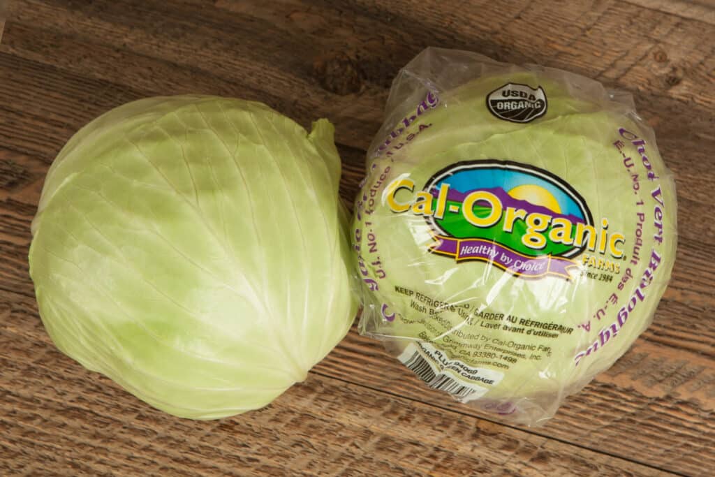Green Cabbage