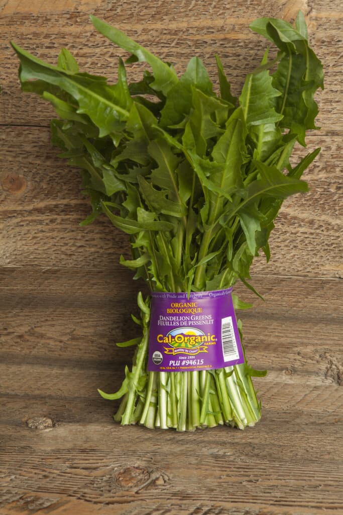Green Dandelion Greens