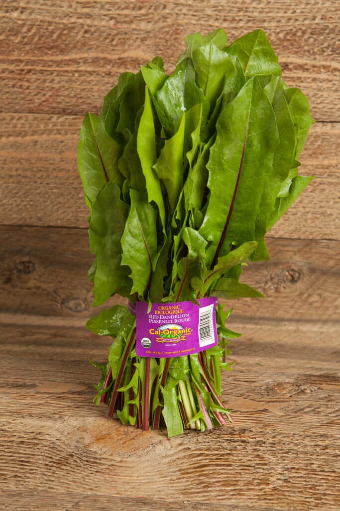 Red Dandelion Greens