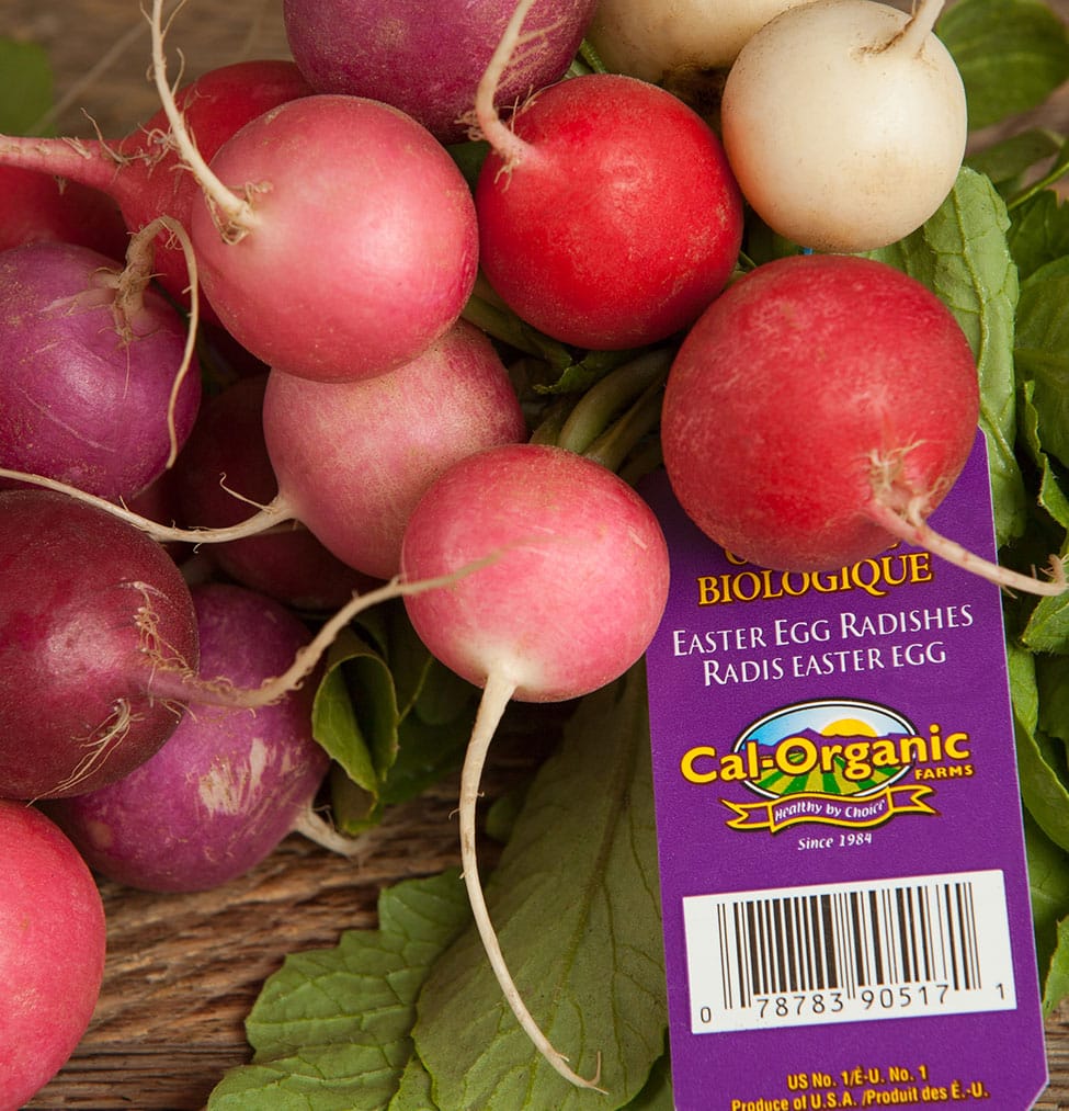 Easter Egg Radishes