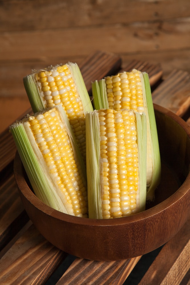Sweet Corn