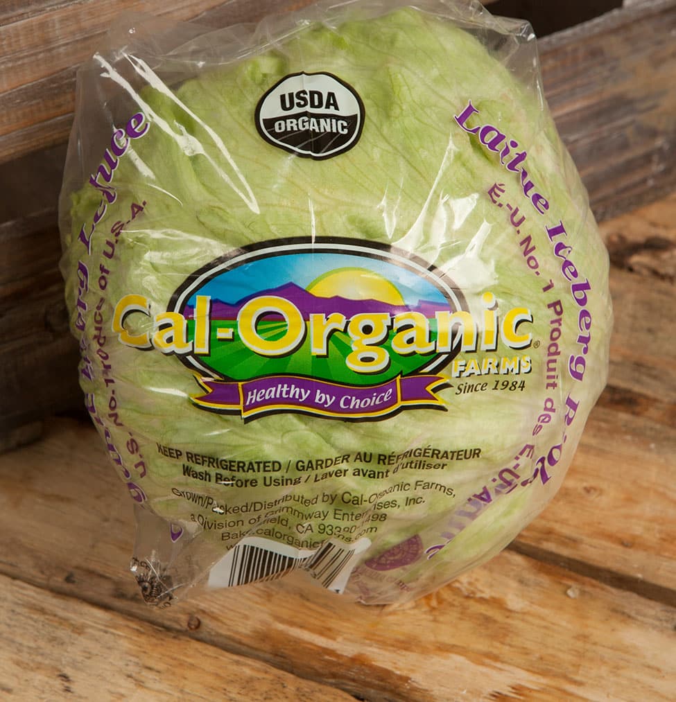 Iceberg Lettuce