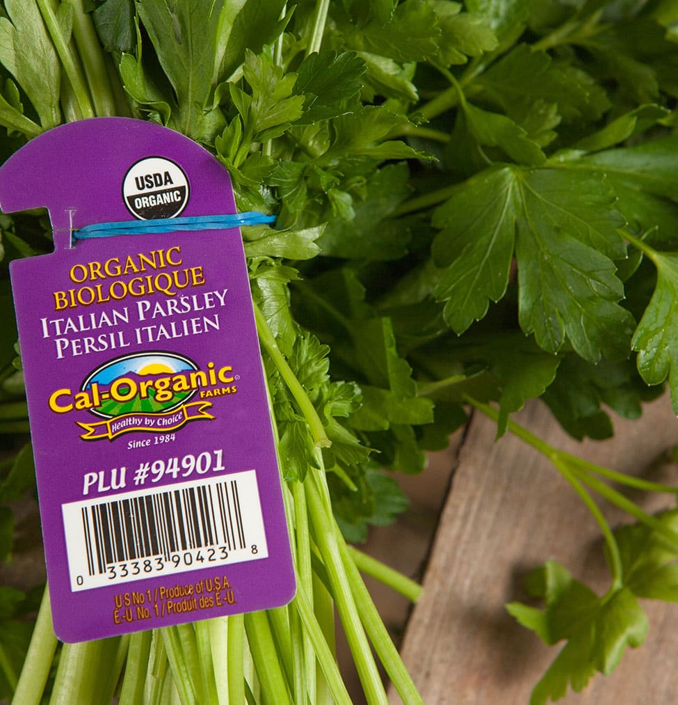 Italian Parsley
