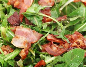 Warm Dandelion Greens with Bacon
