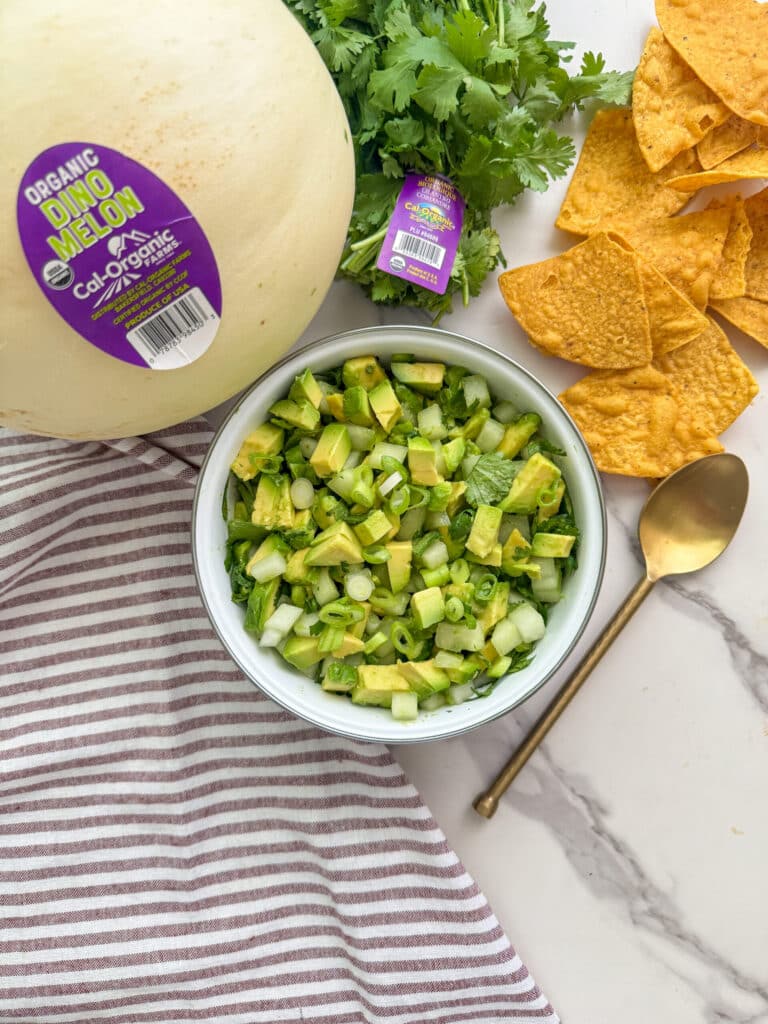 Dino Melon Summer Salsa