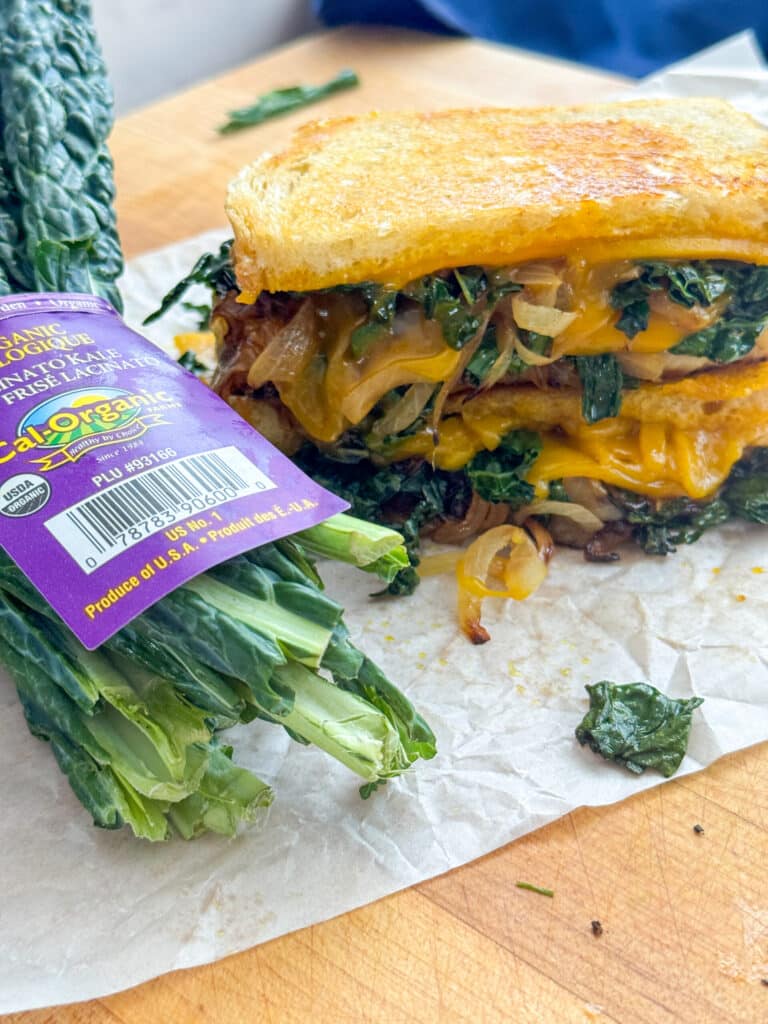 Veggie Grilled Cheese