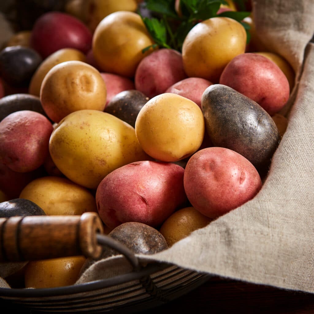 Rainbow Baby Potatoes