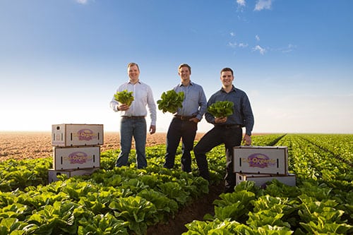 Pioneers of Organic Farming