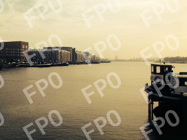 Fermentum Ac Ut